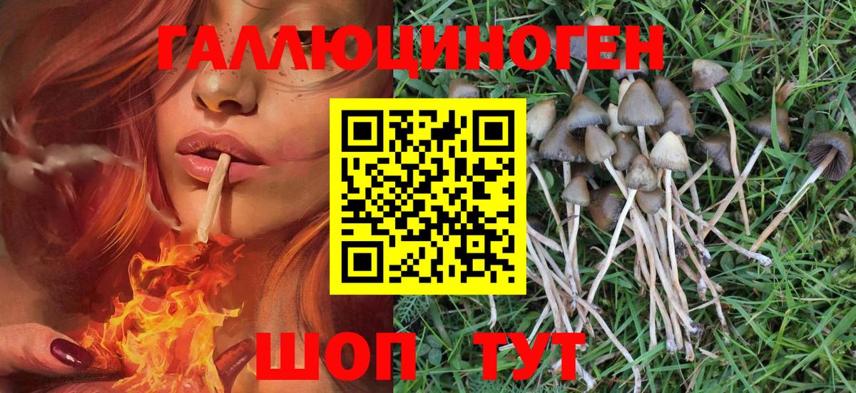 Галлюциногенные грибы мухоморы  Вход с VPN  купить  цена  Каменка 